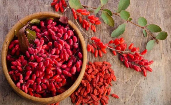 عوامل موثر در قیمت زرشک عمده
