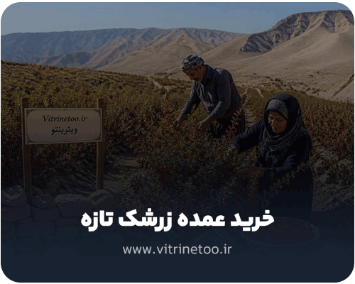 خرید عمده زرشک تازه
