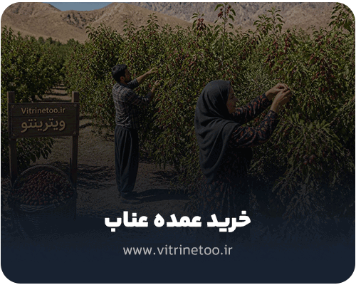 خرید عمده عناب