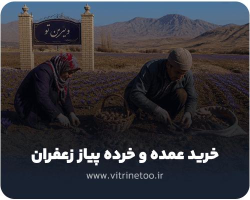 خرید عمده و خرده پیاز زعفران